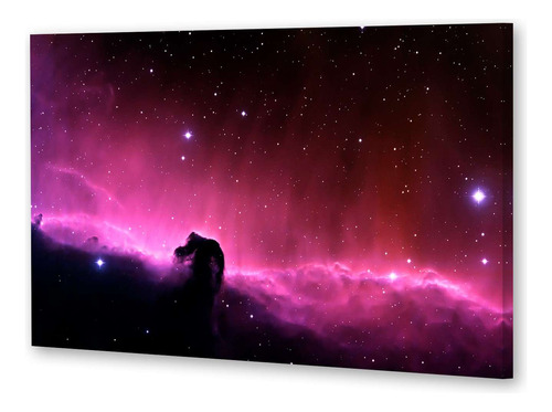 Cuadro Trip 40x60 Galaxia Nebulosa Cosmos Espacio Planet P3