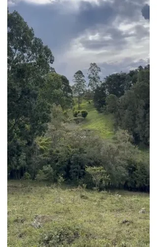 Lote Independiente Rionegro Vereda Ojo De Agua
