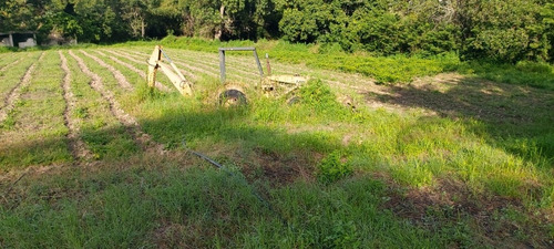 Imagen 2 de 6 de Retroexcavadora Massey Ferguson 4 Cilindros Dros