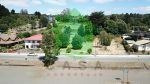 Imagen 3 de 4 de Sitio En Venta En Frutillar