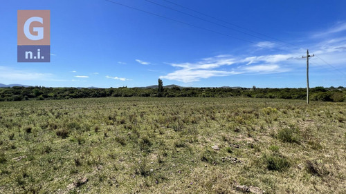 Campos Y Fracciones (ruta 9, Pan De Azúcar) Ref. 5631