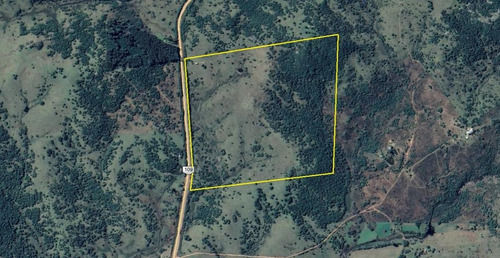 Imagen 3 de 9 de 54 Hectáreas En Ruta 109 A 7km De Aiguá