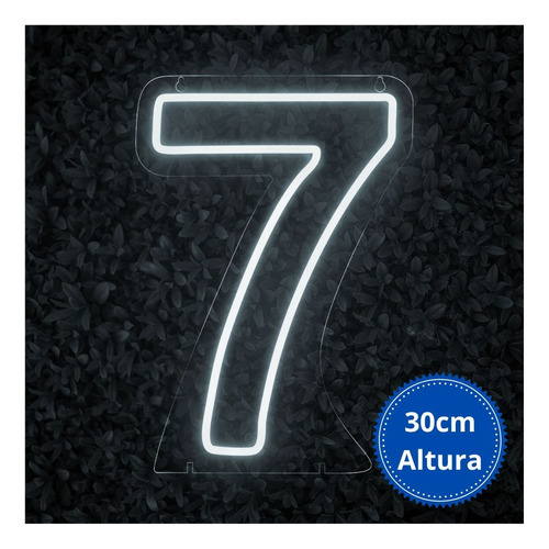 Painel Neon Numero Sete 7 Instagram Iluminação 30 Cm Cor Branco frio 110V/220V