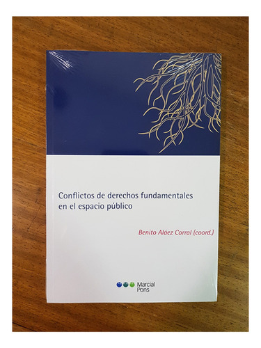 Conflictos De Derechos Fundamentales En El Espacio Público -