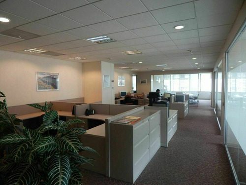 Excelente Oficina Acondicionada En Renta De 335 M2 En Insurgentes Sur N9