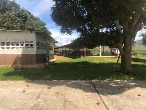Imagen 17 de 19 de Vendo Granja Avícola Bejuma Dt