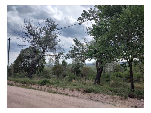 Imagen 18 de 24 de Terreno En Venta De 909m2 Ubicado En Villa Giardino