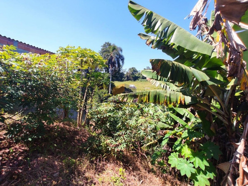 Imagem 5 de 12 de Terreno Para Venda Em Suzano, Jardim Das Flores - 944_1-1772740