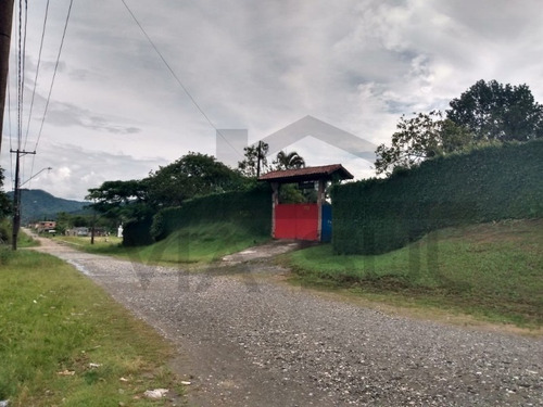Imagem 19 de 20 de Linda Propriedade Em Litoral Sul; Peruíbe/sp - 406 - 69244464