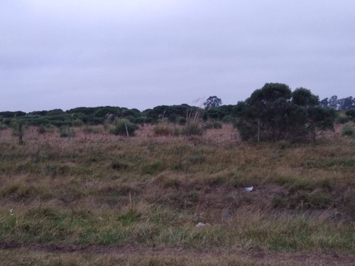 Imagen 4 de 6 de Latorre Prop. Vende 21 Hectareas - Cerca De La Ruta 2 - Camet