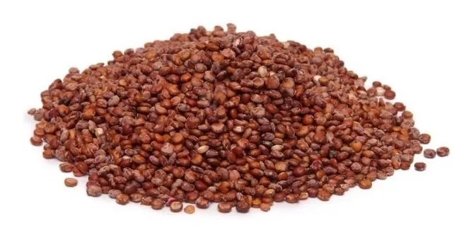 Terceira imagem para pesquisa de quinoa