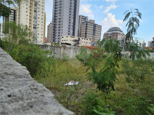 Imagem 4 de 15 de Terreno Chacara Santo Antonio - Reo651595
