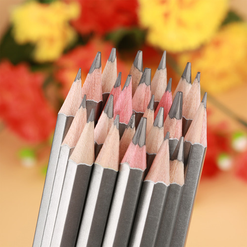 Dibujo A Lápiz Lápiz De Grafito Pintura De La Oficina De