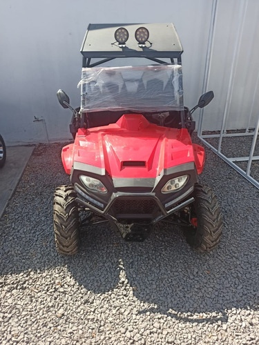 Imagen 6 de 9 de Utv, Raizer, Buggy, 200cc Automatico Sunl 2021
