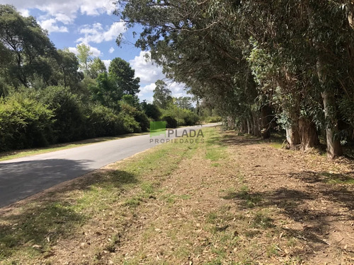 Lote Esquinero 1229 Metros Cobre Camino Eguzquiza En Venta En El Tesoro