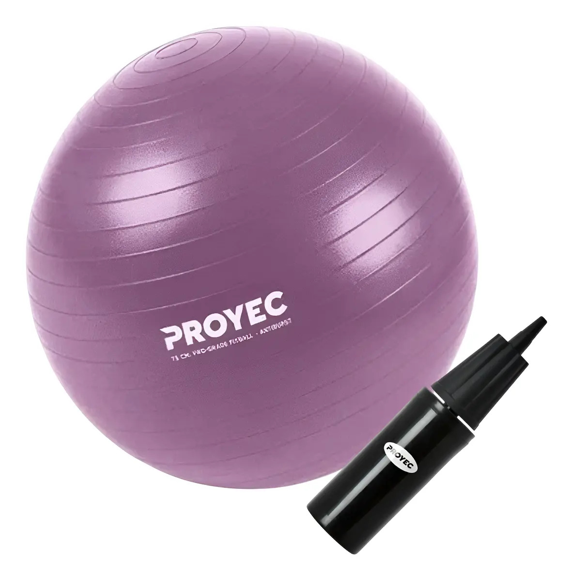 Pelota Yoga Esferodinamia Suiza 75 Cm Proyec + Inflador Color Violeta