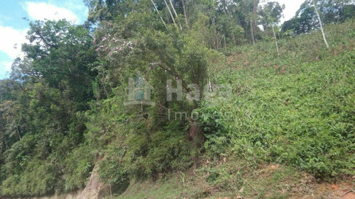 Imagem 11 de 14 de Chácara À Venda No Bairro Pomerânia - Guabiruba/sc - 2329c