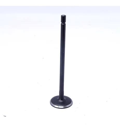 Valvula Motor Admision Renault Megane Ii / Scenic Ii / Lagun