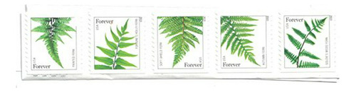 Usps Ferns Forever Stamps - 20 Sellos.