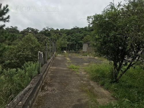 Imagem 13 de 21 de Rural Para Venda, 0 Dormitórios, Dos Pereiras (caucaia Do Alto) - Cotia - 2886