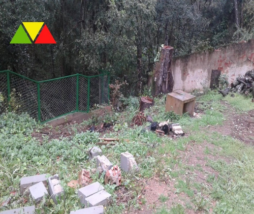 Imagem 3 de 28 de Chacara - Ch00131 - 68473051