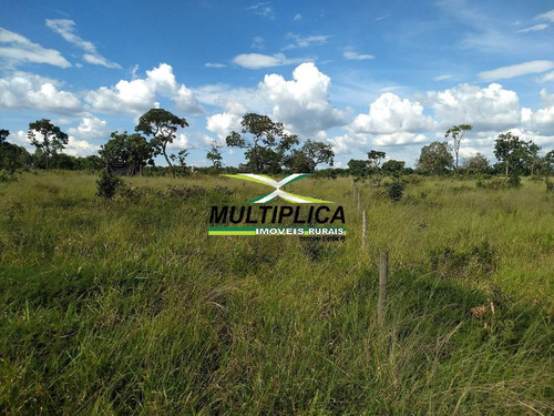 Chácara À Venda Uberlândia 40.000 M² Por R$ 260.000 E Parcela Financiamento - 395