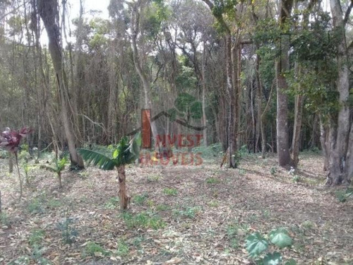 Imagem 6 de 14 de Cod 3840 - Maravilhoso Terreno De 3000 M². - 3840