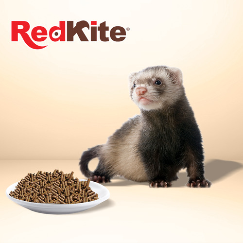Alimento Premium Para Huron 850 G Redkite Formula Balanceada