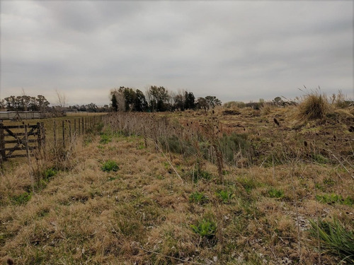 Imagen 6 de 9 de Venta De Fraccion 3.5 Ha San Andrés De Giles - Cucullu