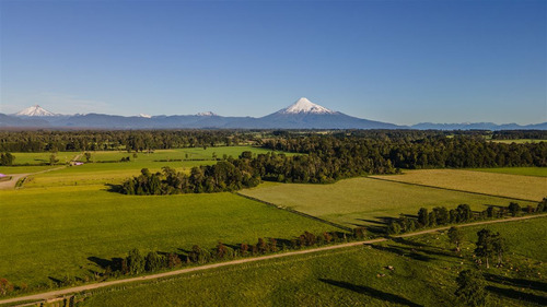 Agrícola En Venta En Puerto Octay
