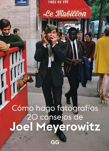 Libro: Cómo Hago Fotografías. Meyerowitz, Joel. Editorial Gu