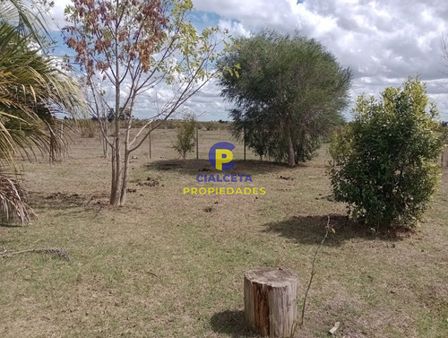 Imagen 13 de 13 de 7 Hectáreas Y Media Con Casa A Terminar