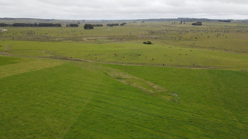 Campo Ganadero En Rocha 350ha (ref: Atm-7301)