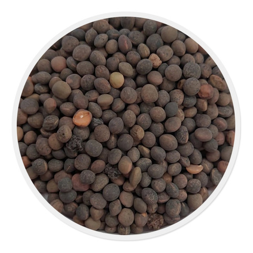 Semilla De Ebo Var. Común (10kg)
