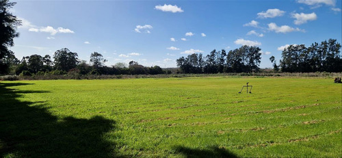 Venta Chacra 28 Ha Abayuba Arroyo Y 2 Tajamares C.rigel