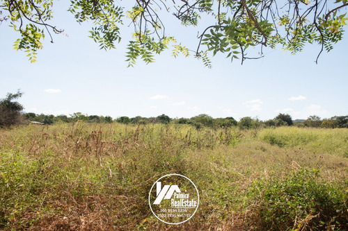 Imagen 10 de 11 de Venta De Finca Agricola En Masaya