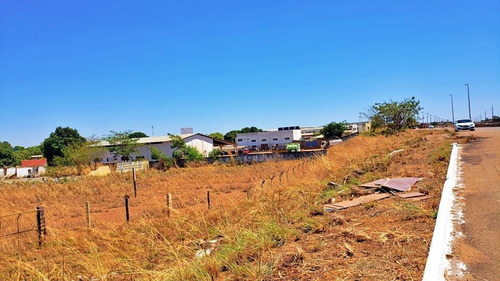Imagem 5 de 20 de Terreno Comercial De 9.120 M² À Venda Na To-050 - 1112 Sul - 258