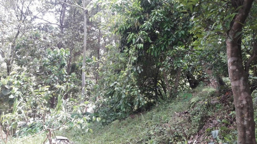 Imagem 20 de 21 de Terreno Em Parque Rizzo Ii, Cotia/sp De 1380m² À Venda Por R$ 160.000,00 - Te463143-s