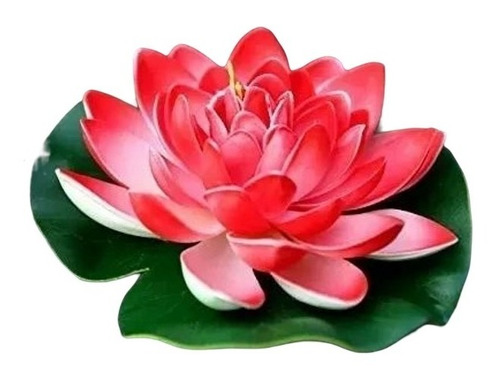 Flor Loto Flotante Unidad Adorno Decoración Yoga Reiki Medit