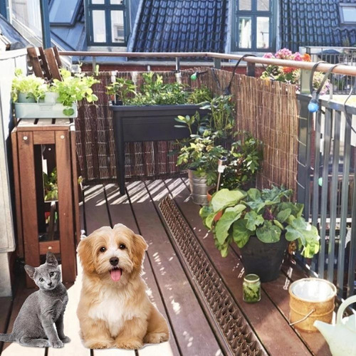 10 espículas repelentes para gatos Pigeons Skunk Saruê Condominium