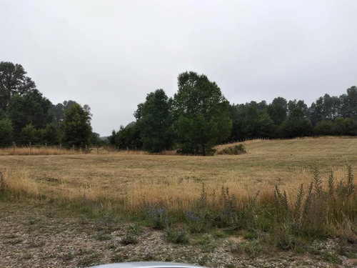Parcela En Condominio 5000 Mt2