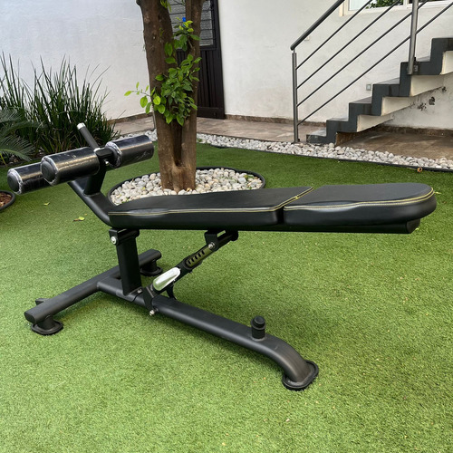 Banco Para Abdominales Profesional Fitness
