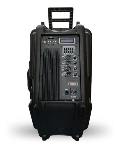 Imagen 2 de 7 de Bafle Potenciado Excess 2 Vias Usb Sd Mic Exc1515 Premium