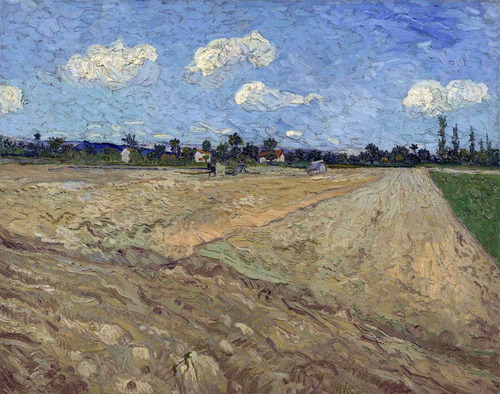 Lienzo Canvas Arte Vincent Van Gogh Campos Arados 1888 50x60