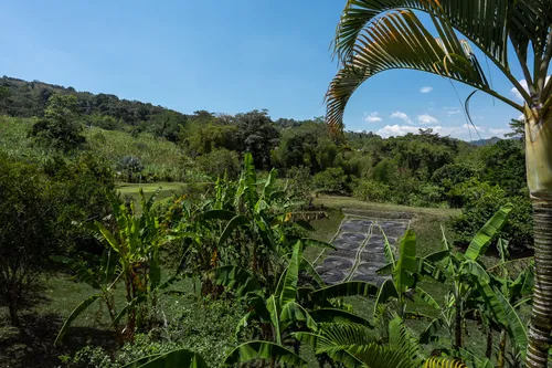 Casa Campestre En Venta En La Vega. Cod V1088054