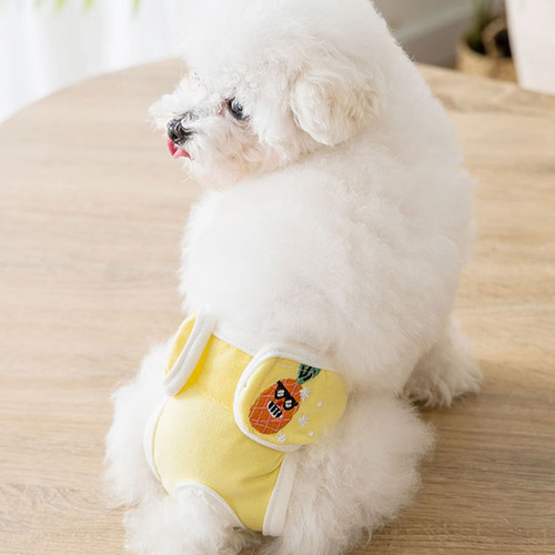 Pañales Reutilizables Y Lavables Para Perros: Fisiológicos A