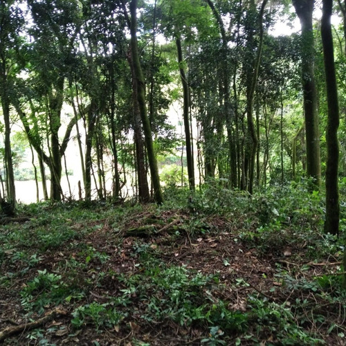 Imagem 5 de 9 de Terreno Lote 6.000m2 Chacreamento Itapeva/extrema Mg