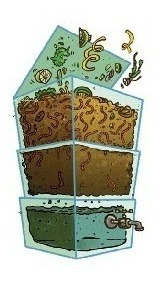 Composteira Doméstica P 15 Litros C/ Pé - S/ Frete