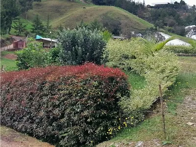 Lote y casalote en venta