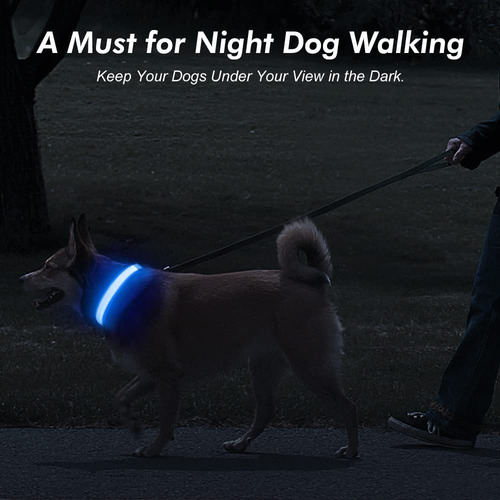Illumifun Collar Led Para Perro Collar De Perro Recargable